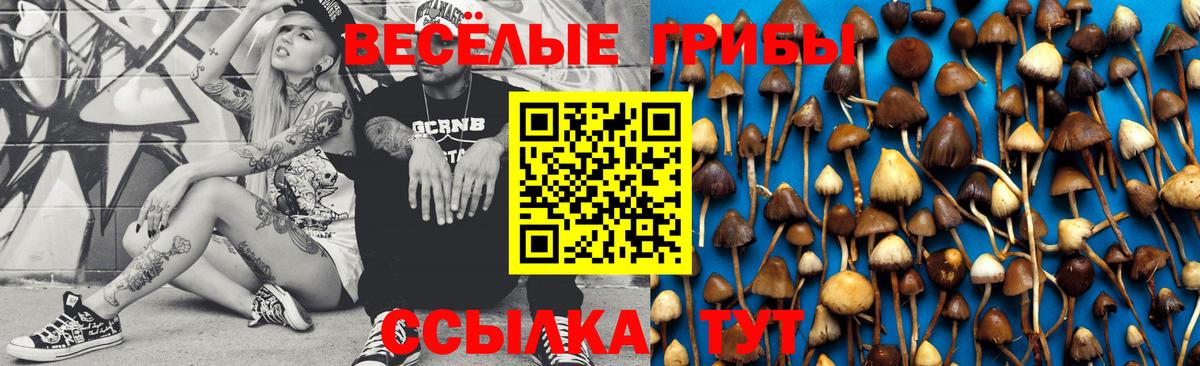 Одинцово  Псилоцибиновые грибы MAGIC MUSHROOMS  Псилоцибиновые грибы Psilocybe  Вход с VPN 