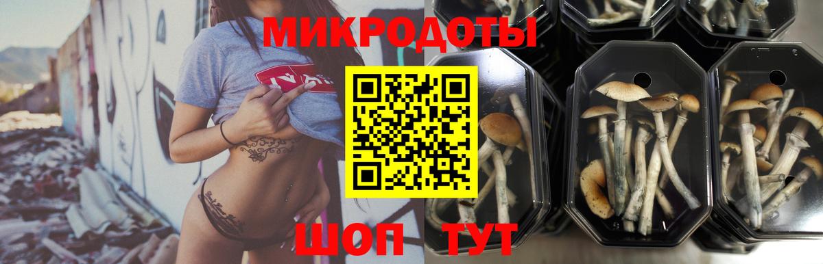 Галлюциногенные грибы мицелий Одинцово